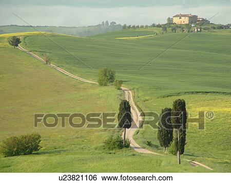 Tuscany, Italy, Pienza, Toscana, Europe, A long dirt driveway leads up to a Tuscan home in the scenic countryside of Tuscany. View Large Photo Image Stock Photograph - Tuscany, Italy, Pienza, Toscana, Europe, A long dirt driveway leads up to a Tuscan home in the scenic countryside of Tuscany.. Fotosearch