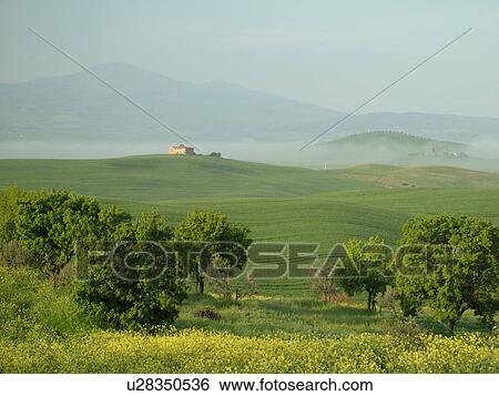 Stock Photograph -  Tuscany, Italy, Pienza, Toscana, Europe, Scenic view of a Tuscan home and the countryside of Tuscany in the fog in Pienza.. Fotosearch