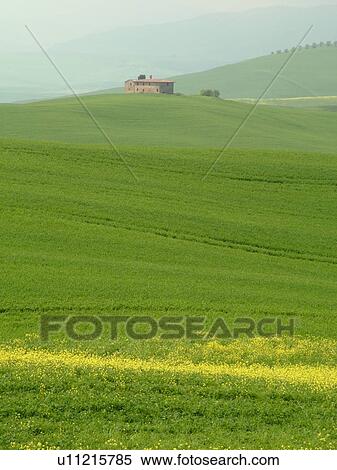 Tuscany, Italy, Pienza, Toscana, Europe, Scenic view of a Tuscan home and the countryside of Tuscany in Pienza. View Large Photo Image Stock Photography - Tuscany, Italy, Pienza, Toscana, Europe, Scenic view of a Tuscan home and the countryside of Tuscany in Pienza.. Fotosearch