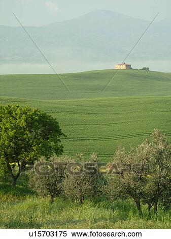 Tuscany, Italy, Pienza, Toscana, Europe, Scenic view of a Tuscan home and the countryside of Tuscany in the fog in Pienza. View Large Photo Image Stock Photography - Tuscany, Italy, Pienza, Toscana, Europe, Scenic view of a Tuscan home and the countryside of Tuscany in the fog in Pienza.. Fotosearch