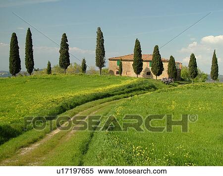 Stock Photography -  Tuscany, Italy, Pienza, Toscana, Europe, Tuscan home in the countryside of Tuscany in Pienza.. Fotosearch