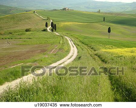 Stock Photography -  Tuscany, Italy, Pienza, Toscana, Europe, Long dirt driveway leads to a Tuscan home in the countryside of Tuscany in Pienza.. Fotosearch