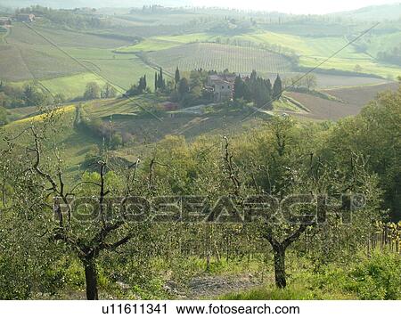 Stock Image -  Tuscany, Italy, San Gimignano, Toscana, Europe, Scenic view of a Tuscan farmhouse in the countryside of San Gimignano in Tuscany.. Fotosearch
