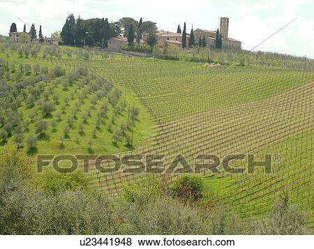 Tuscany, Italy, San Gimignano, Toscana, Europe, Scenic view of a Tuscan farmhouse in the countryside of San Gimignano in Tuscany. View Large Photo Image Stock Photo - Tuscany, Italy, San Gimignano, Toscana, Europe, Scenic view of a Tuscan farmhouse in the countryside of San Gimignano in Tuscany.. Fotosearch