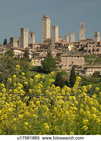Stock Photography -  Tuscany, Italy, San Gimignano, Toscana, Europe, Scenic view of the medieval town of San Gimignano in the Chianti Region.. Fotosearch