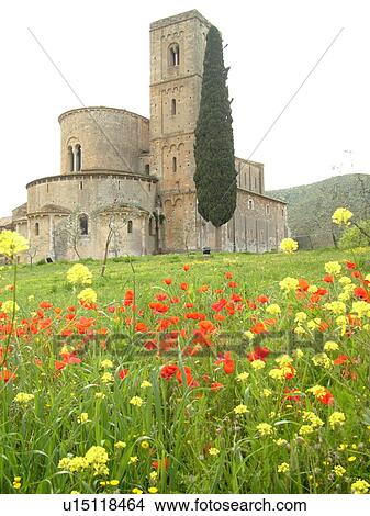 Tuscany, Italy, Sant'Antimo, Toscana, Europe, 13th-century Romanesque Abbazia di Sant'Antimo. View Large Photo Image Picture - Tuscany, Italy, Sant'Antimo, Toscana, Europe, 13th-century Romanesque Abbazia di Sant'Antimo.. Fotosearch
