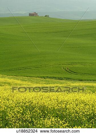 Tuscany, Italy, Toscana, Pienza, Europe, Scenic view of a Tuscan home and the countryside of Tuscany in Pienza. View Large Photo Image Picture - Tuscany, Italy, Toscana, Pienza, Europe, Scenic view of a Tuscan home and the countryside of Tuscany in Pienza.. Fotosearch