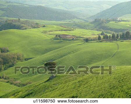Tuscany, Italy, Volterra, Toscana, Europe, Scenic countryside of Tuscany near Volterra. View Large Photo Image Stock Image - Tuscany, Italy, Volterra, Toscana, Europe, Scenic countryside of Tuscany near Volterra.. Fotosearch