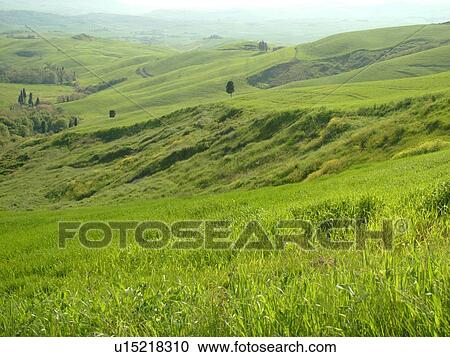 Tuscany, Italy, Volterra, Toscana, Europe, Scenic countryside of Tuscany near Volterra. View Large Photo Image Stock Image - Tuscany, Italy, Volterra, Toscana, Europe, Scenic countryside of Tuscany near Volterra.. Fotosearch