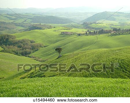 Stock Image -  Tuscany, Italy, Volterra, Toscana, Europe, Scenic countryside of Tuscany near Volterra.. Fotosearch