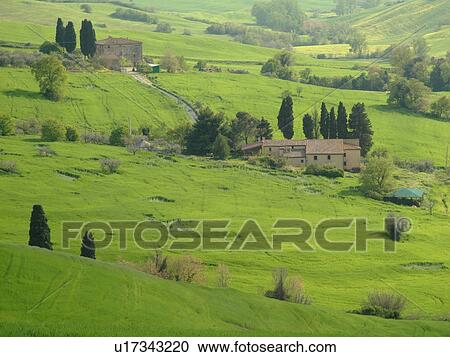 Tuscany, Italy, Volterra, Toscana, Europe, Scenic view of a Tuscan farmhouse in the countryside of Tuscany near Volterra. View Large Photo Image Stock Image - Tuscany, Italy, Volterra, Toscana, Europe, Scenic view of a Tuscan farmhouse in the countryside of Tuscany near Volterra.. Fotosearch