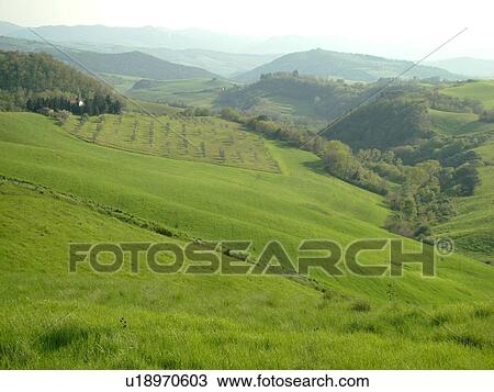 Stock Image -  Tuscany, Italy, Volterra, Toscana, Europe, Scenic countryside of Tuscany near Volterra.. Fotosearch