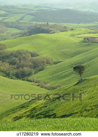 Tuscany, Italy, Volterra, Toscana, Europe, Scenic countryside of Tuscany near Volterra. View Large Photo Image Stock Photo - Tuscany, Italy, Volterra, Toscana, Europe, Scenic countryside of Tuscany near Volterra.. Fotosearch