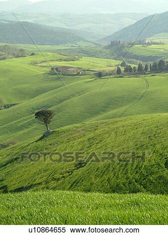Tuscany, Italy, Volterra, Toscana, Europe, Scenic countryside of Tuscany near Volterra. View Large Photo Image Stock Photography - Tuscany, Italy, Volterra, Toscana, Europe, Scenic countryside of Tuscany near Volterra.. Fotosearch