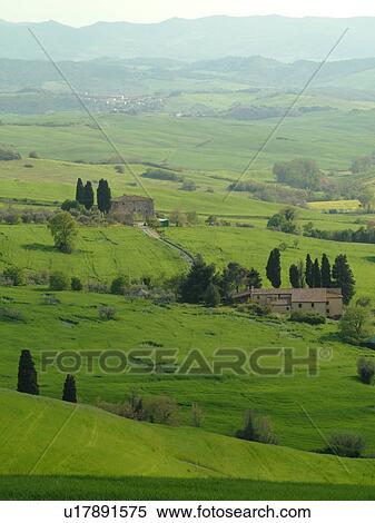 Tuscany, Italy, Volterra, Toscana, Europe, Scenic view of a Tuscan farmhouse in the countryside of Tuscany near Volterra. View Large Photo Image Stock Photography - Tuscany, Italy, Volterra, Toscana, Europe, Scenic view of a Tuscan farmhouse in the countryside of Tuscany near Volterra.. Fotosearch