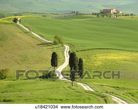 Tuscany, Pienza, Toscana, Italy, Europe, Long dirt driveway leads to a Tuscan home in the countryside of Tuscany in Pienza. View Large Photo Image Picture - Tuscany, Pienza, Toscana, Italy, Europe, Long dirt driveway leads to a Tuscan home in the countryside of Tuscany in Pienza.. Fotosearch