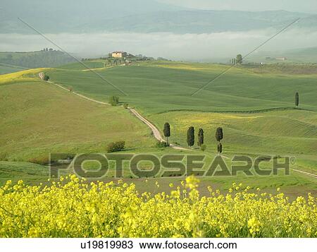 Tuscany, Pienza, Toscana, Italy, Europe, A long dirt driveway leads up to a Tuscan home in the scenic countryside of Tuscany. View Large Photo Image Stock Image - Tuscany, Pienza, Toscana, Italy, Europe, A long dirt driveway leads up to a Tuscan home in the scenic countryside of Tuscany.. Fotosearch