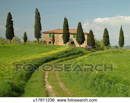 Tuscany, Pienza, Toscana, Italy, Europe, Tuscan home in the countryside of Tuscany in Pienza. View Large Photo Image Stock Photograph - Tuscany, Pienza, Toscana, Italy, Europe, Tuscan home in the countryside of Tuscany in Pienza.. Fotosearch