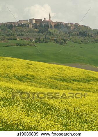 Tuscany, Toscana, Italy, Pienza, Europe, Scenic view of the Renaissance hilltop town of Pienza. View Large Photo Image Stock Photo - Tuscany, Toscana, Italy, Pienza, Europe, Scenic view of the Renaissance hilltop town of Pienza.. Fotosearch