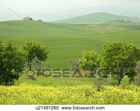 Stock Photography -  Tuscany, Toscana, Italy, Pienza, Europe, Scenic view of a Tuscan home and the countryside of Tuscany in Pienza.. Fotosearch