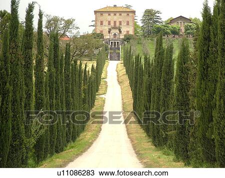Umbria, Italy, Amelia, Europe, Thin tall cypress trees line a driveway leading up to Villa Aspreta in the medieval town of Amelia. View Large Photo Image Stock Image - Umbria, Italy, Amelia, Europe, Thin tall cypress trees line a driveway leading up to Villa Aspreta in the medieval town of Amelia.. Fotosearch