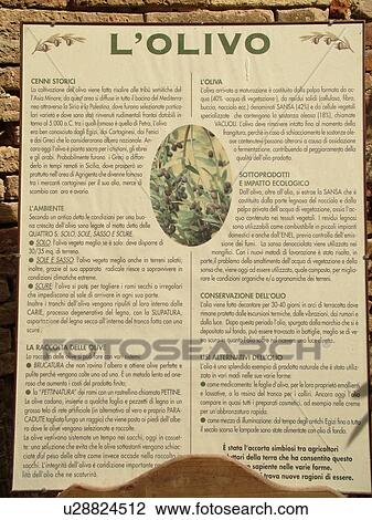 Umbria, Italy, Montefalco, Europe, Information sign outside an Olive tasting room in the medieval town of Montefalco. View Large Photo Image Stock Image - Umbria, Italy, Montefalco, Europe, Information sign outside an Olive tasting room in the medieval town of Montefalco.. Fotosearch
