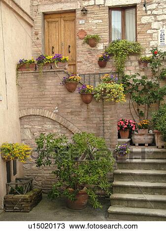 Umbria, Italy, Spello, Europe, Steps to a home decorated with plants and flowers in the medieval town of Spello. View Large Photo Image Stock Image - Umbria, Italy, Spello, Europe, Steps to a home decorated with plants and flowers in the medieval town of Spello.. Fotosearch