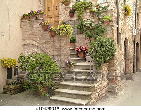 Umbria, Italy, Spello, Europe, Steps to a home decorated with plants and flowers in the medieval town of Spello. View Large Photo Image Stock Photo - Umbria, Italy, Spello, Europe, Steps to a home decorated with plants and flowers in the medieval town of Spello.. Fotosearch