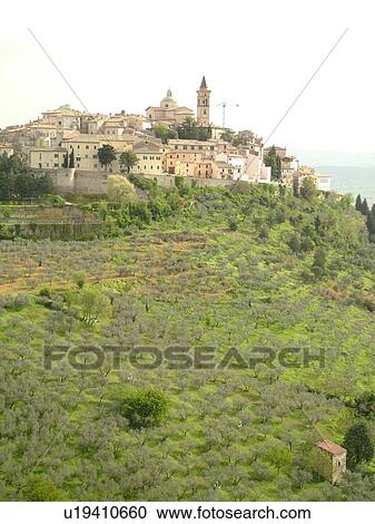 Stock Image -  Umbria, Italy, Trevi, Europe, Scenic view of the hilltop medieval town of Trevi and the greenish-grey olive trees on the hillsides of Umbria... Fotosearch