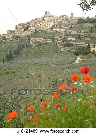 Umbria, Italy, Trevi, Europe, Scenic view of the hilltop medieval town of Trevi and the greenish-grey olive trees on the hillsides of Umbria.. View Large Photo Image Stock Photo - Umbria, Italy, Trevi, Europe, Scenic view of the hilltop medieval town of Trevi and the greenish-grey olive trees on the hillsides of Umbria... Fotosearch