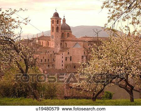Urbino, Marche, Italy, Europe, Scenic view of the Palazzo Ducale in the medieval hill town of Urbino. View Large Photo Image Stock Photo - Urbino, Marche, Italy, Europe, Scenic view of the Palazzo Ducale in the medieval hill town of Urbino.. Fotosearch