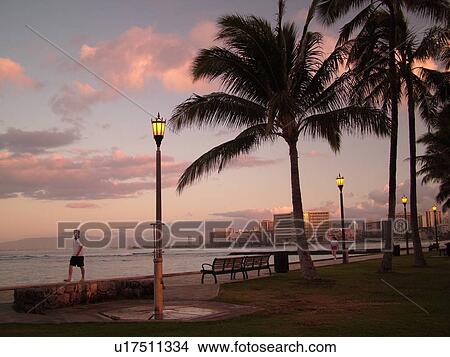Picture -  Waikiki, Honolulu, Oahu, HI, Hawaii. Fotosearch