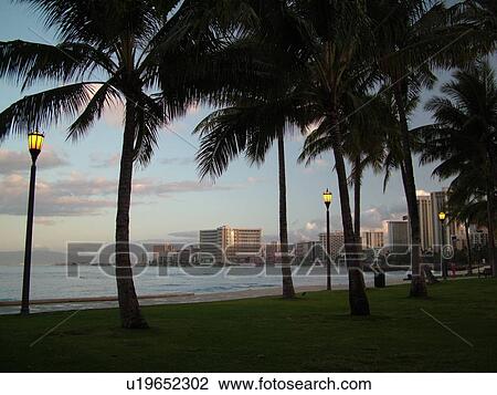 Waikiki, Honolulu, Oahu, HI, Hawaii, Kuhio Beach Park, skyline, beachfront, morning View Large Photo Image Stock Image - Waikiki, Honolulu, Oahu, HI, Hawaii, Kuhio Beach Park, skyline, beachfront, morning. Fotosearch