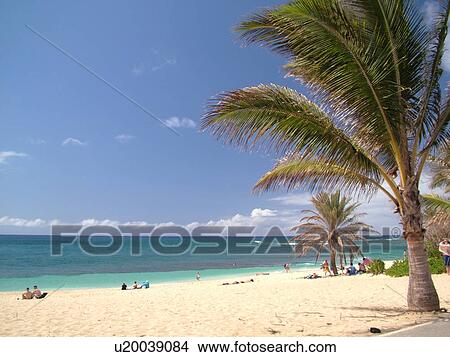 Picture -  Waimea, Oahu, HI, Hawaii, North Shore, Waimea Bay Beach Park. Fotosearch