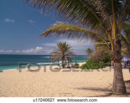 Waimea, Oahu, HI, Hawaii, North Shore, Waimea Bay Beach Park View Large Photo Image Stock Photo - Waimea, Oahu, HI, Hawaii, North Shore, Waimea Bay Beach Park. Fotosearch
