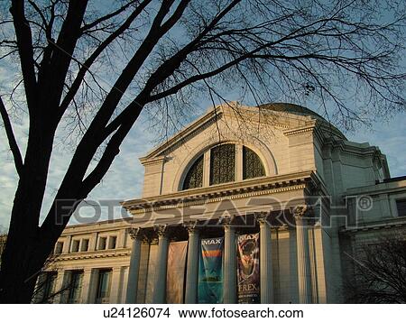 Washington, DC, District of Columbia, D. C National Museum of Natural History of the Smithsonian Institute at the National Mall View Large Photo Image Picture - Washington, DC, District of Columbia, D. C National Museum of Natural History of the Smithsonian Institute at the National Mall. Fotosearch