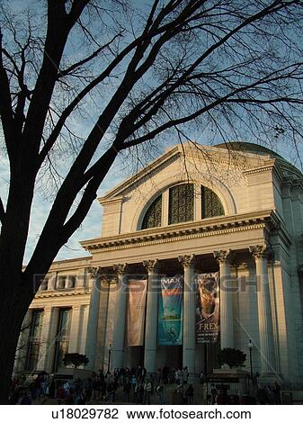 Stock Image -  Washington, DC, District of Columbia, D. C National Museum of Natural History of the Smithsonian Institute at the National Mall. Fotosearch