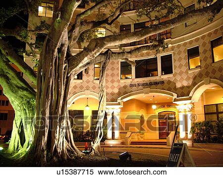 West Palm Beach, FL, Florida, downtown historic building at One North Clematis, evening View Large Photo Image Stock Photography - West Palm Beach, FL, Florida, downtown historic building at One North Clematis, evening. Fotosearch
