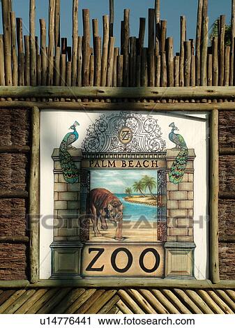 West Palm Beach, FL, Florida, Palm Beach Zoo View Large Photo Image Stock Image - West Palm Beach, FL, Florida, Palm Beach Zoo. Fotosearch