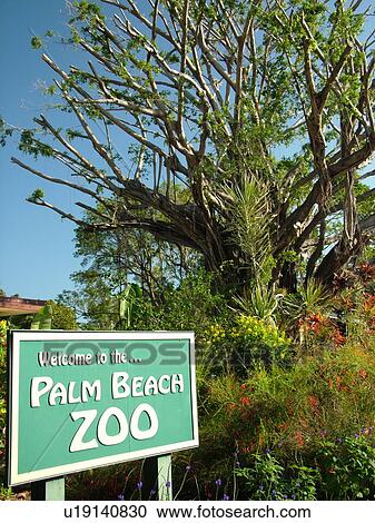 Stock Image -  West Palm Beach, FL, Florida, Palm Beach Zoo, entrance sign. Fotosearch