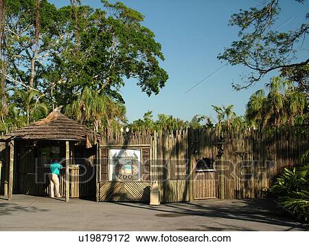 West Palm Beach, FL, Florida, Palm Beach Zoo, entrance View Large Photo Image Stock Image - West Palm Beach, FL, Florida, Palm Beach Zoo, entrance. Fotosearch