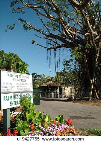 West Palm Beach, FL, Florida, Palm Beach Zoo, entrance View Large Photo Image Stock Photography - West Palm Beach, FL, Florida, Palm Beach Zoo, entrance. Fotosearch