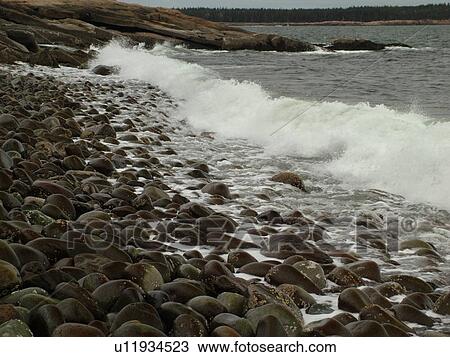 Stock Image -  Acadia National Park, ME, Maine, Mount Desert Island, Atlantic Ocean, Frenchman Bay, Schoodic Peninsula, Schoodic Point, scenic coastline. Fotosearch