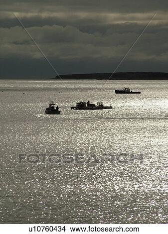 Picture -  Acadia National Park, ME, Maine, Atlantic Ocean, Mount Desert Island, Hunters Head, lobster boats. Fotosearch