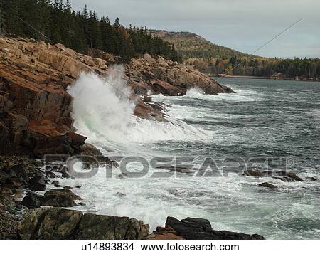 Picture -  Acadia National Park, ME, Maine, Atlantic Ocean, Mount Desert Island, Hunters Head, scenic coastline. Fotosearch