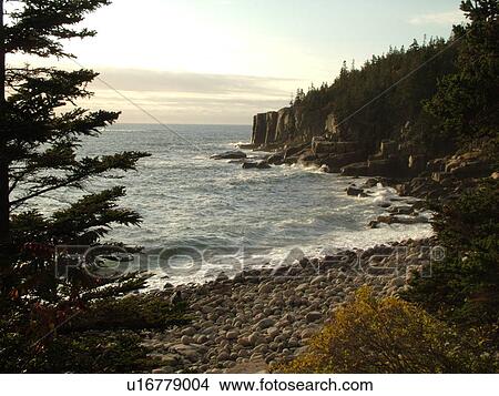 Picture -  Acadia National Park, ME, Maine, Atlantic Ocean, Mount Desert Island, Otter Point, scenic coastline. Fotosearch