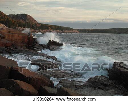 Picture -  Acadia National Park, ME, Maine, Atlantic Ocean, Mount Desert Island, Otter Point, scenic coastline. Fotosearch