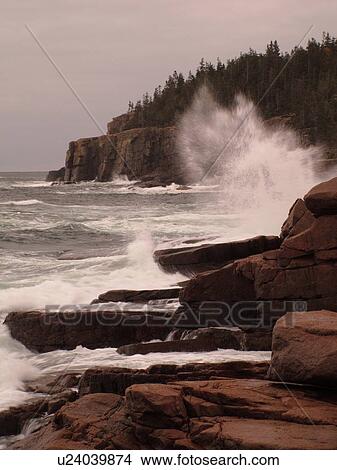 Picture -  Acadia National Park, ME, Maine, Atlantic Ocean, Mount Desert Island, Otter Point, scenic coastline. Fotosearch