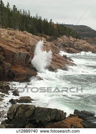 Stock Image -  Acadia National Park, ME, Maine, Atlantic Ocean, Mount Desert Island, Hunters Head, scenic coastline. Fotosearch