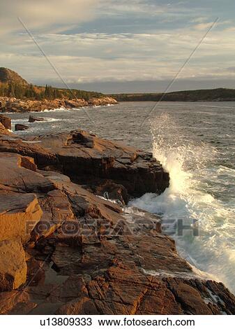 Acadia National Park, ME, Maine, Atlantic Ocean, Mount Desert Island, Otter Point, scenic coastline View Large Photo Image Stock Image - Acadia National Park, ME, Maine, Atlantic Ocean, Mount Desert Island, Otter Point, scenic coastline. Fotosearch
